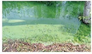 pagenumber_ebook=171,pagenumber_book=163