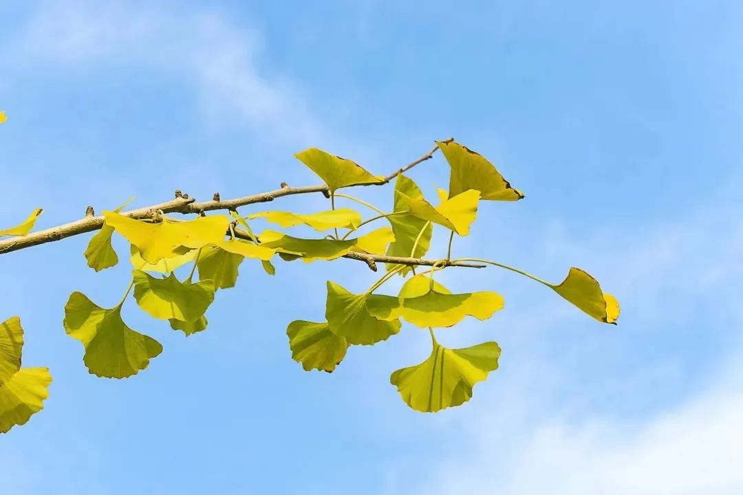 909a89de91f52c1edc137cd9da2964fd 909a89de91f52c1edc137cd9da2964fd.jpg