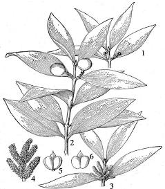 pagenumber_ebook=73,pagenumber_book=73