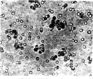 pagenumber_ebook=42,pagenumber_book=29