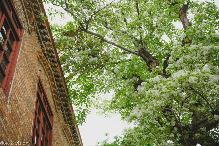 微信图片_20220406153817 微信图片_20220406153817.png