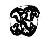 pagenumber_ebook=248,pagenumber_book=239