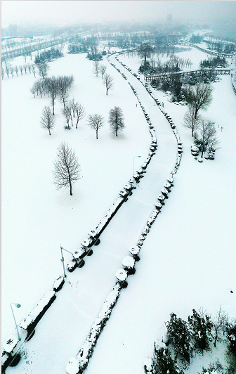 微信图片_20210318091747