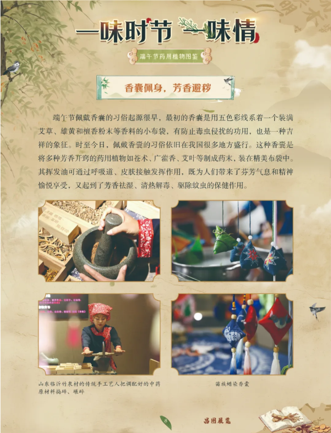 image.png?v=1782174181266