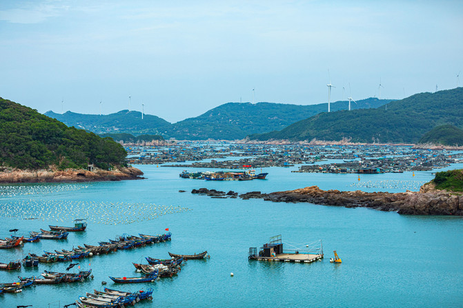 DM_20230203115637_015