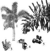 pagenumber_ebook=122,pagenumber_book=122