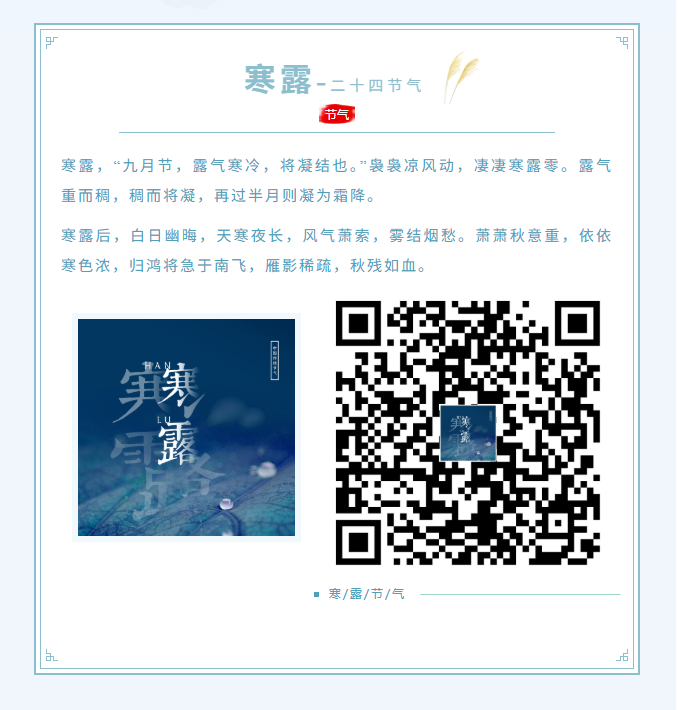 image.png?v=1762099880650