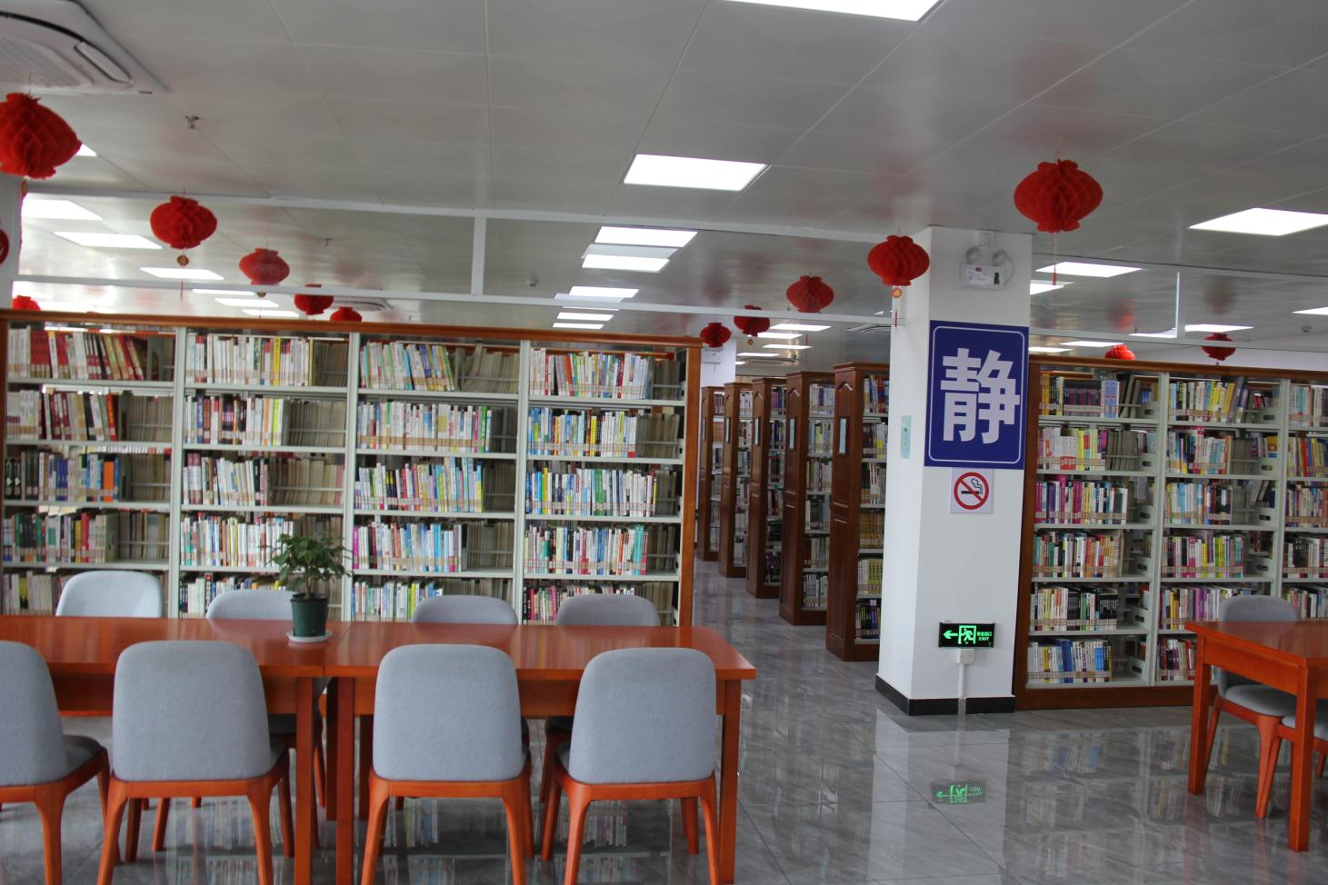 image image.png?v=1762620369125