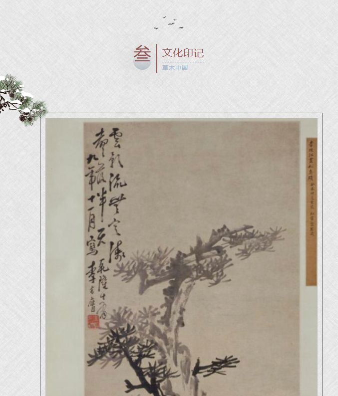 image.png?v=1762099906174