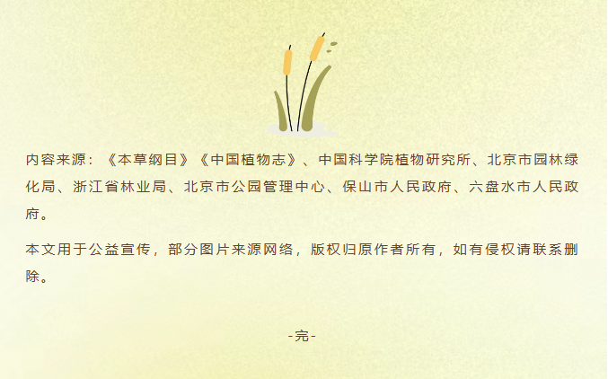 image.png?v=1762073802454