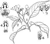 pagenumber_ebook=137,pagenumber_book=137