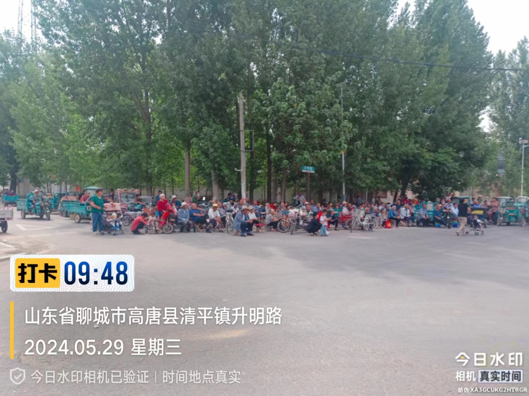 3ae8080db108b37e27e58ece1784718.jpg