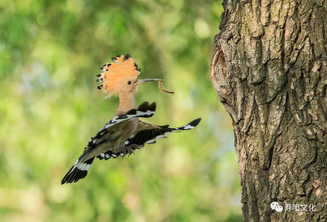 微信图片_20221009095409