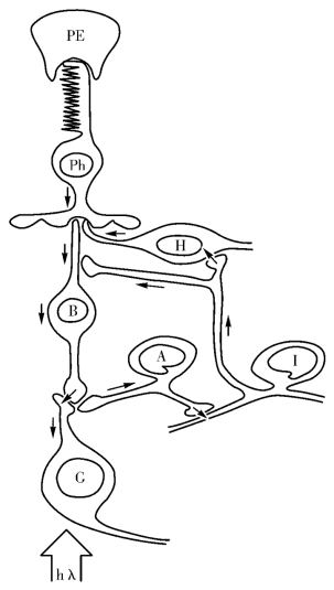 pagenumber_ebook=62,pagenumber_book=37