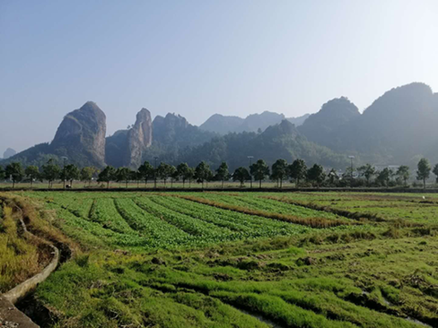 1591597111471776.png image.png