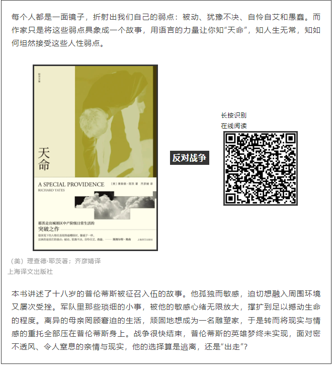 image image.png?v=1763579355239