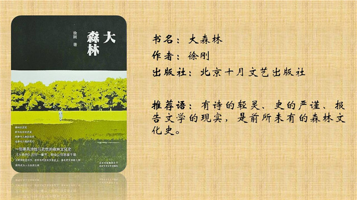 b2c7ed4262fc4fc89d8619437dbd51e2 b2c7ed4262fc4fc89d8619437dbd51e2.jpg?v=1762673574230