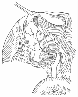 pagenumber_ebook=292,pagenumber_book=284