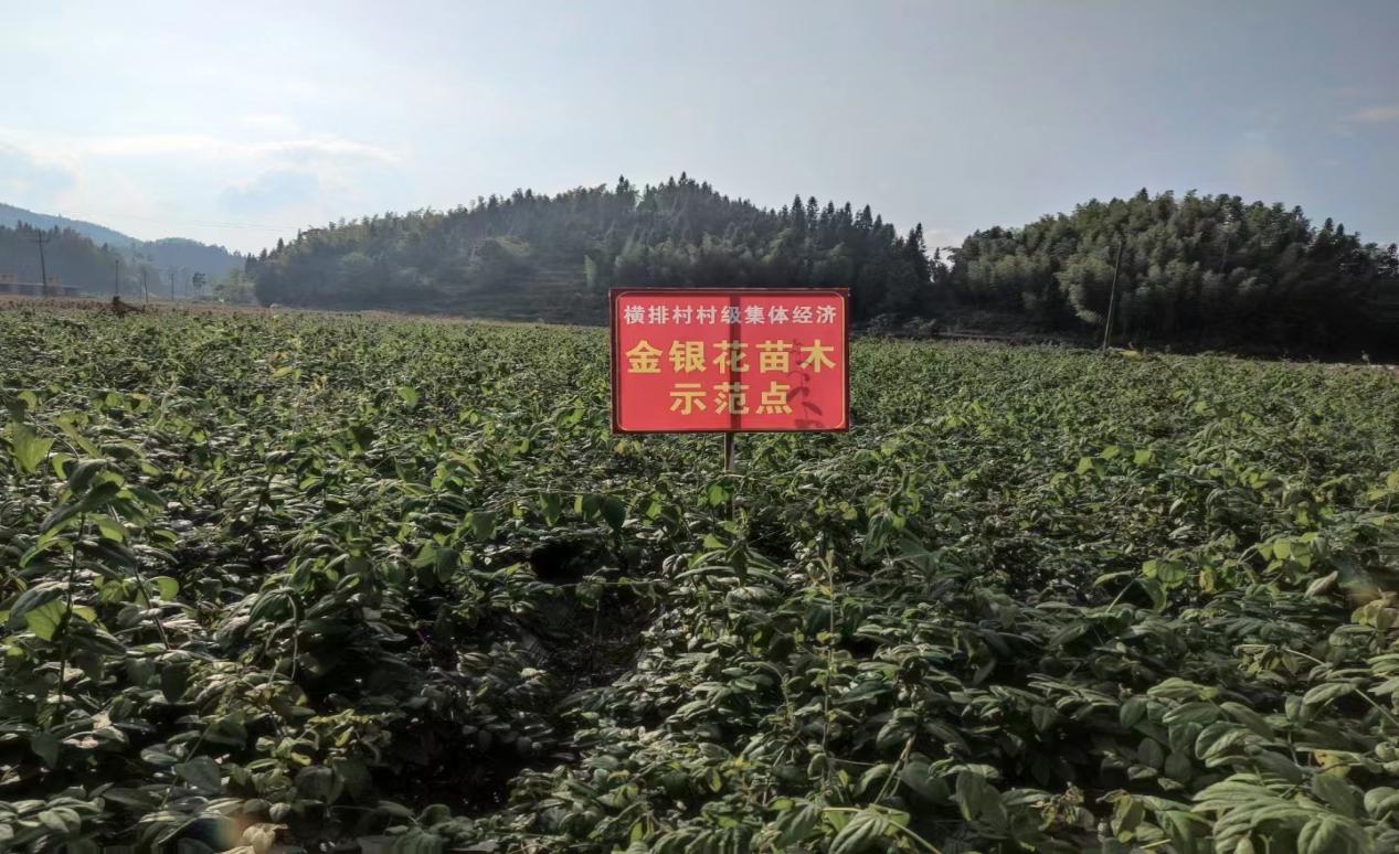 image10 image10.jpeg