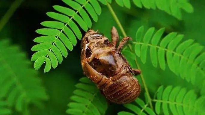 微信图片_20220624211535 微信图片_20220624211535.jpg