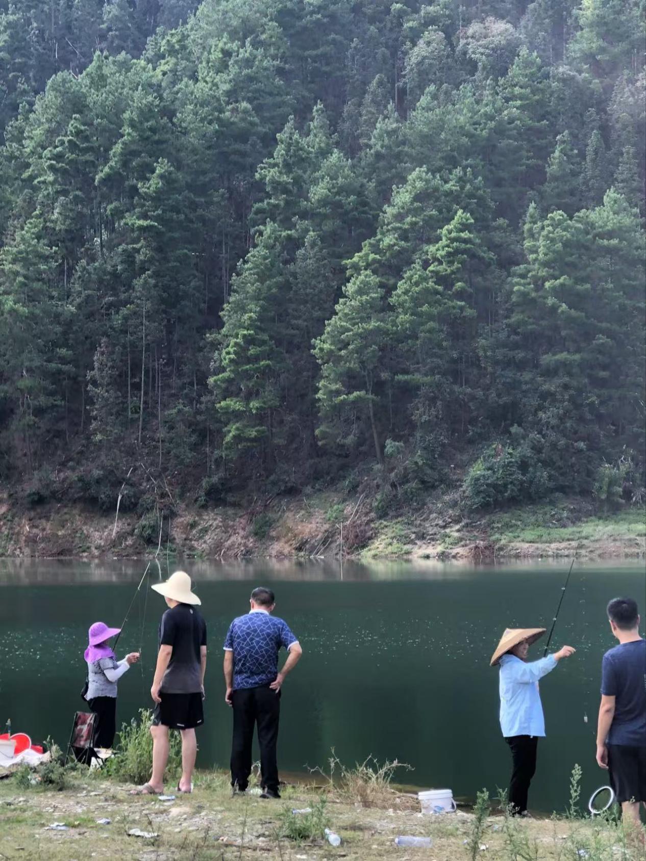 image16 image16.jpeg