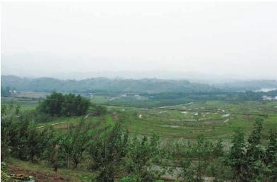 pagenumber_ebook=37,pagenumber_book=37