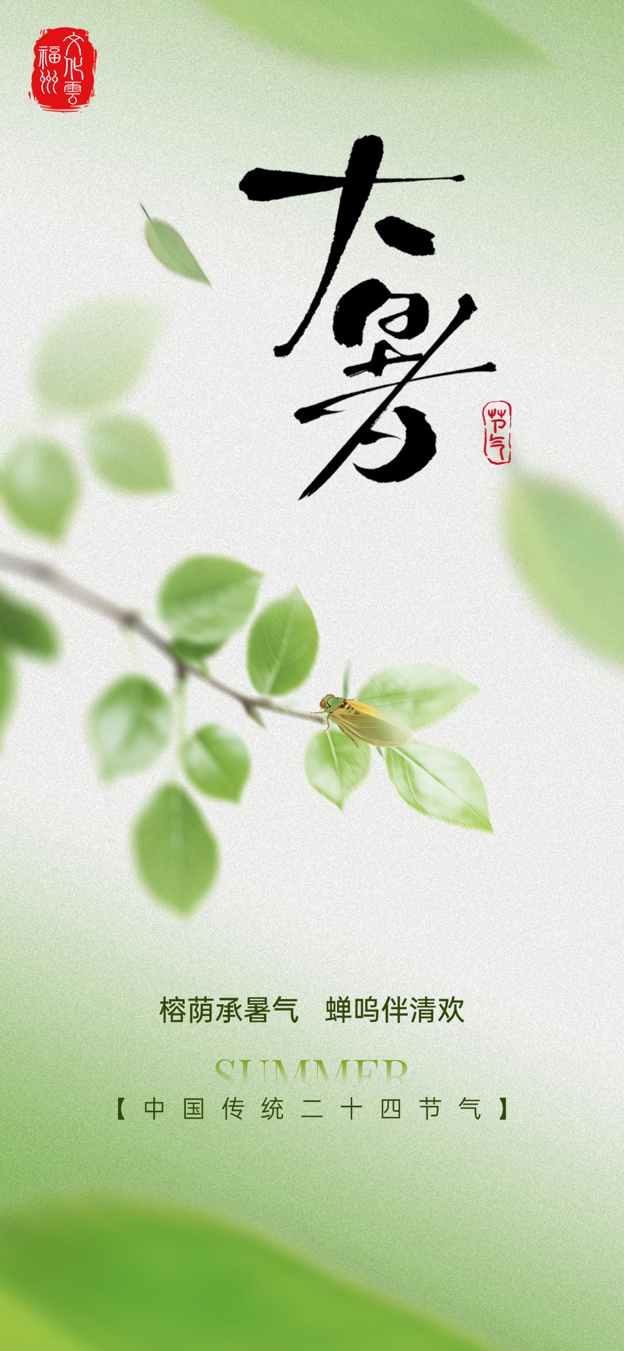 20250722【资讯】榕荫承暑气 蝉鸣伴清欢2.jpg