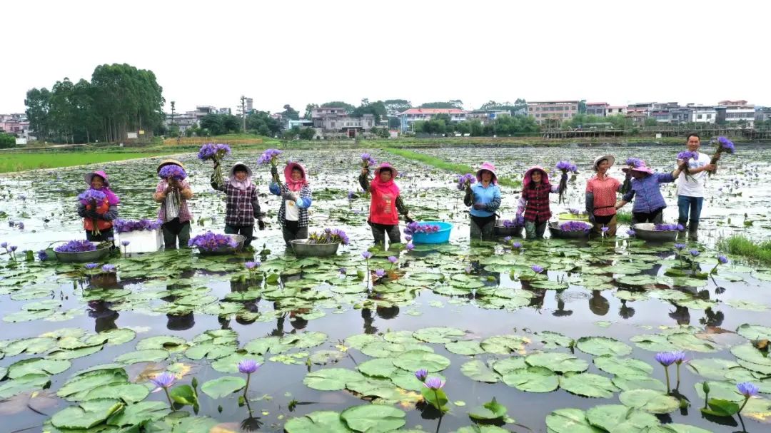 2022-12-28_我是武宣,请叫我“广西全域旅游示范区”!_12 2022-12-28_我是武宣,请叫我“广西全域旅游示范区”!_12.jpg
