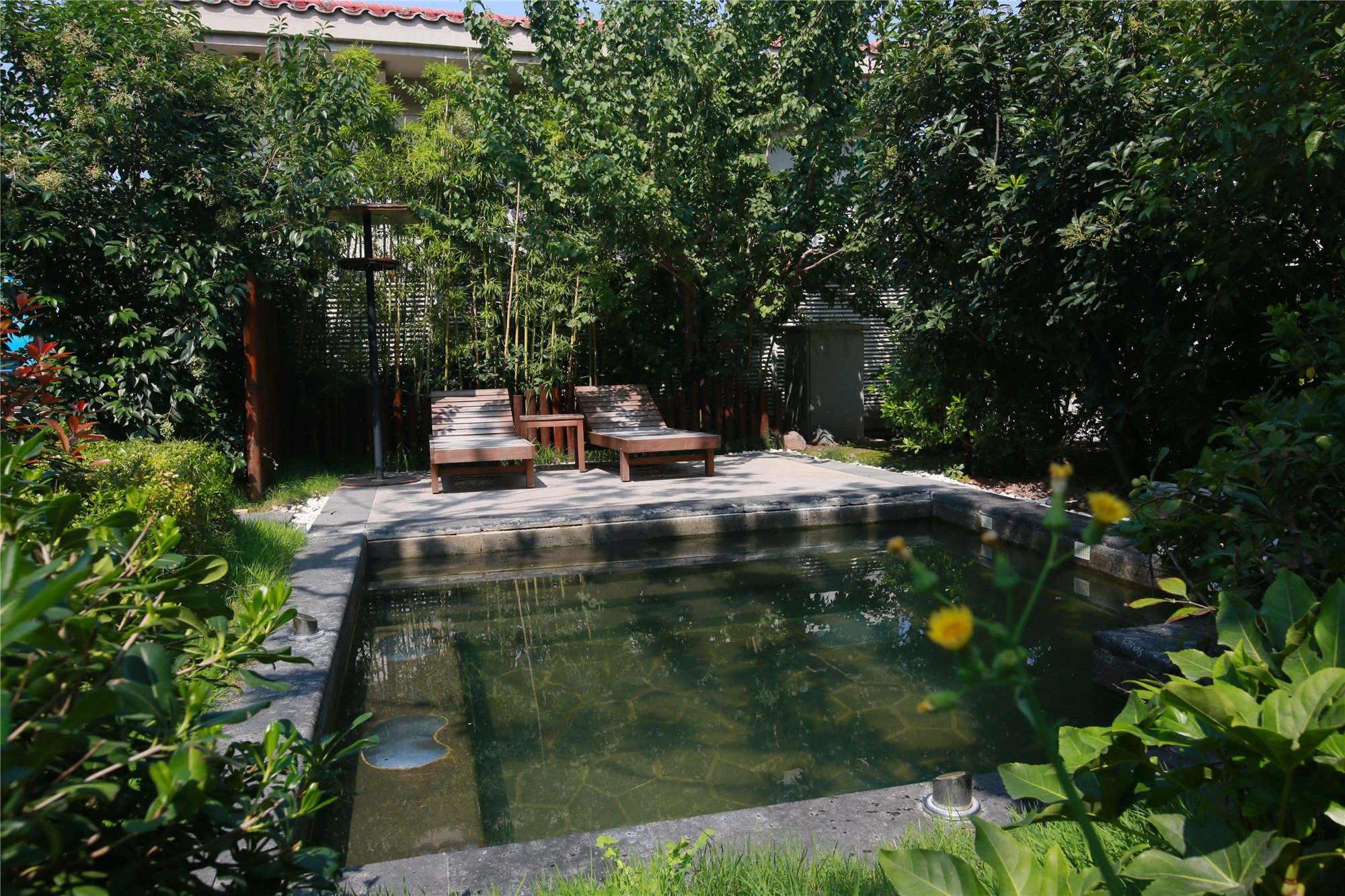 翡翠_副本 翡翠_副本