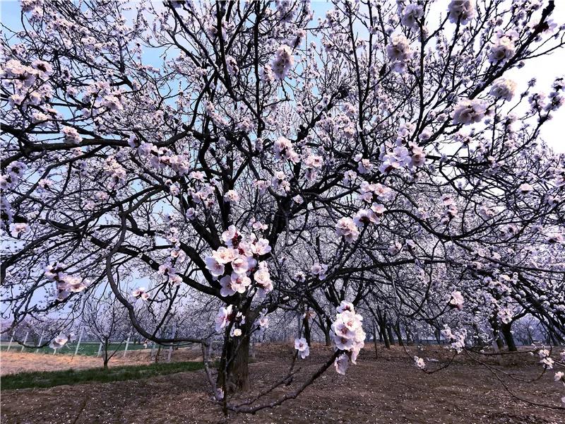 微信图片_20210318082723