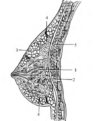 pagenumber_ebook=162,pagenumber_book=162
