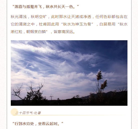image.png?v=1750237167764