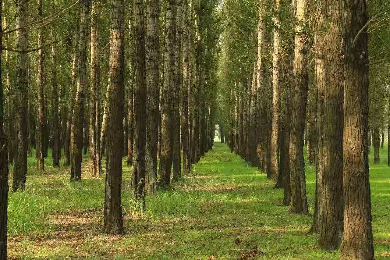 4feb5735fefae8e2aa9461f854197ee 4feb5735fefae8e2aa9461f854197ee.jpg