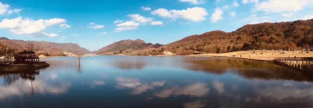 77fe5b3bf68ffefd52591cdcabc8e57 77fe5b3bf68ffefd52591cdcabc8e57.jpg?v=1762743078123