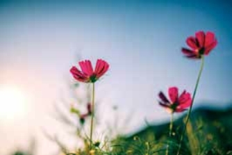 pagenumber_ebook=185,pagenumber_book=178