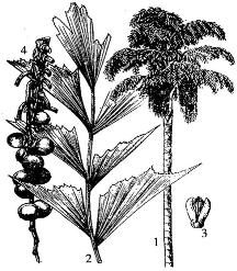 pagenumber_ebook=112,pagenumber_book=112