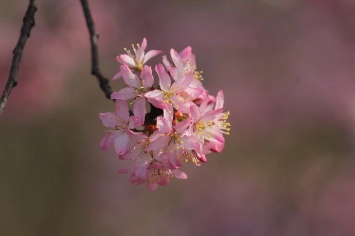 51e220bbb59d793bd6a127de214edfbe 51e220bbb59d793bd6a127de214edfbe.jpg