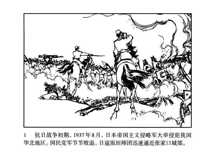 640 (13) 640 (13).jpg?v=1763637639447