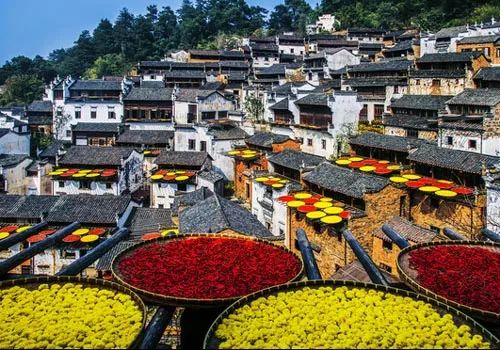 bf7119ea79bd28c9b16da7b0c651e54b bf7119ea79bd28c9b16da7b0c651e54b.jpg?v=1762567418085