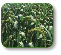 pagenumber_ebook=151,pagenumber_book=138