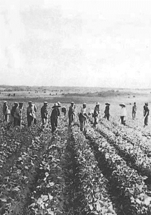 pagenumber_ebook=135,pagenumber_book=123