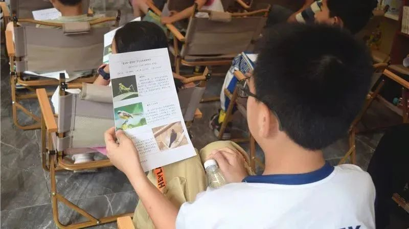 图片5 图片5.png?v=1772875297628