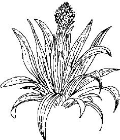 pagenumber_ebook=273,pagenumber_book=273