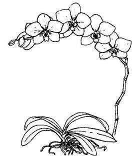 pagenumber_ebook=296,pagenumber_book=296