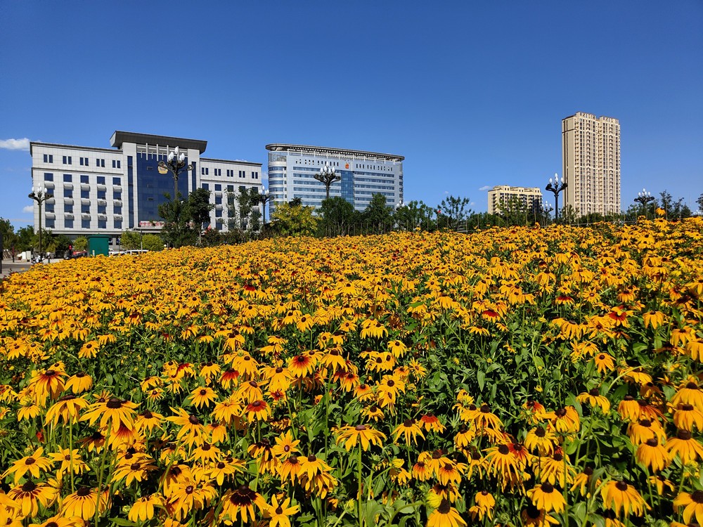 微信图片_20220907091509 微信图片_20220907091509.jpg