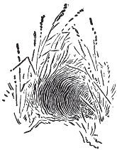 pagenumber_ebook=199,pagenumber_book=191