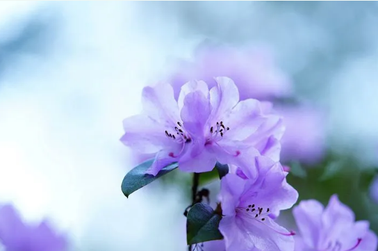 image image.png?v=1784605719266