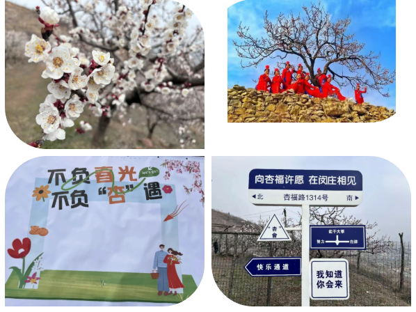 6a306bf55c3d80044c9648876886ba56png