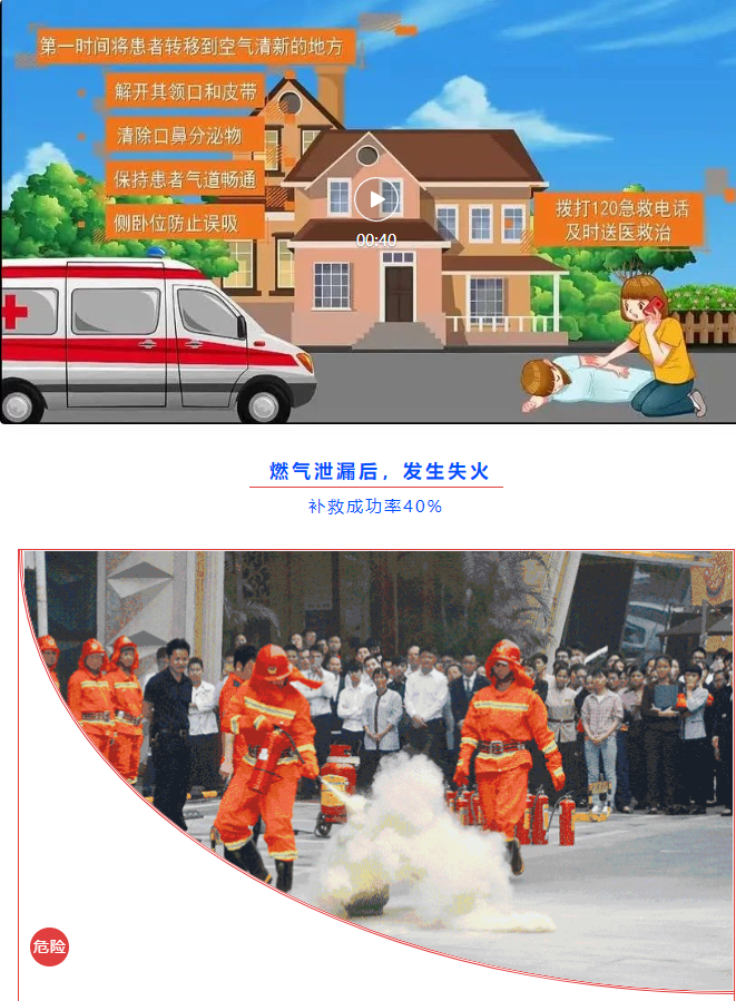 image image.png?v=1763574284924