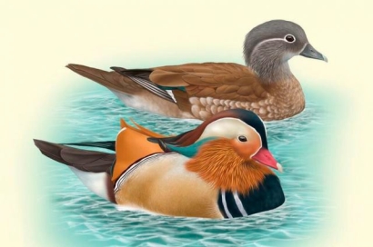 pagenumber_ebook=133,pagenumber_book=124